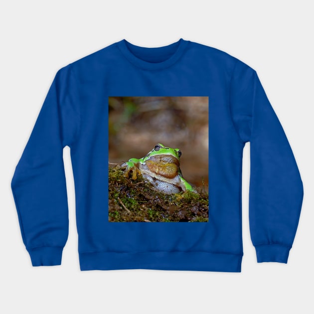 r669/  " the Friendly Palmed Green Frog - la Gentille grenouille verte Palmé " to Okaio Créations - Olavia-Olao Crewneck Sweatshirt by caillaudolivier